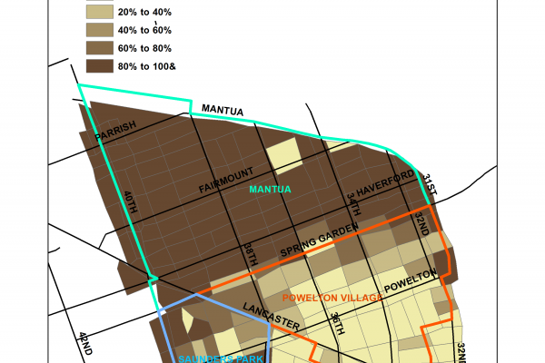 Mantua by Race