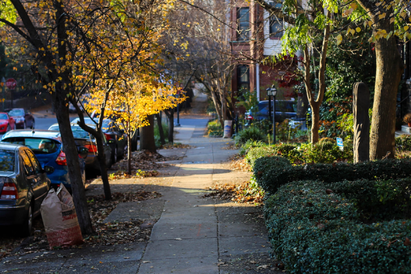 Spruce Hill in Autumn